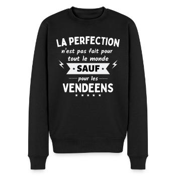 La perfection n’est pas fait sauf pour vendeen - Pull Premium bio Homme - noir - Devant - Nico (187cm)