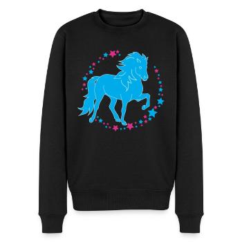 Tölter Sterne - Männer Premium Bio Pullover - Schwarz - Vorne - Nico (187cm)
