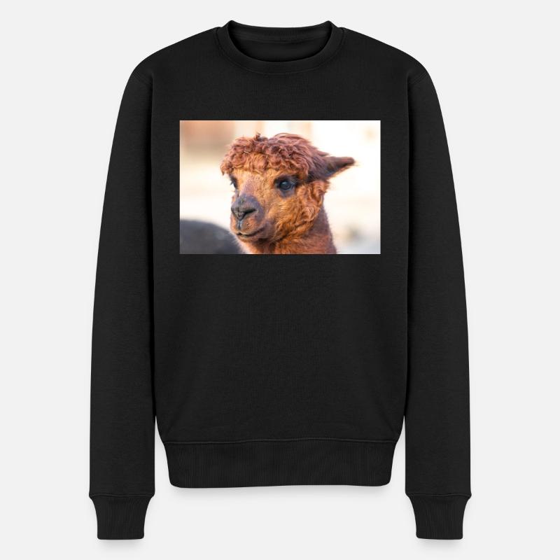 Alpaka Vicugna pacos - Männer Premium Bio Pullover - Schwarz