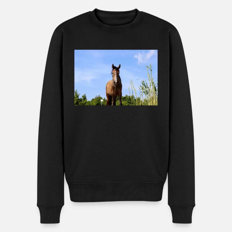 Pferd - Männer Premium Bio Pullover - Schwarz