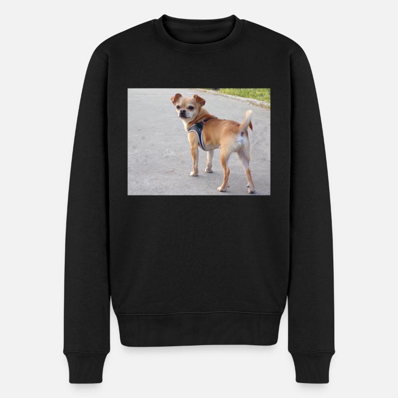Chihuahua, Hund, - Männer Premium Bio Pullover - Schwarz