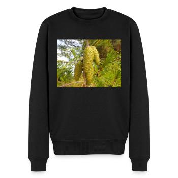 Pin d’Alep aussi Pin de Jérusalem Alep-Kiefer - Pull Premium bio Homme - noir - Devant - Nico (187cm)