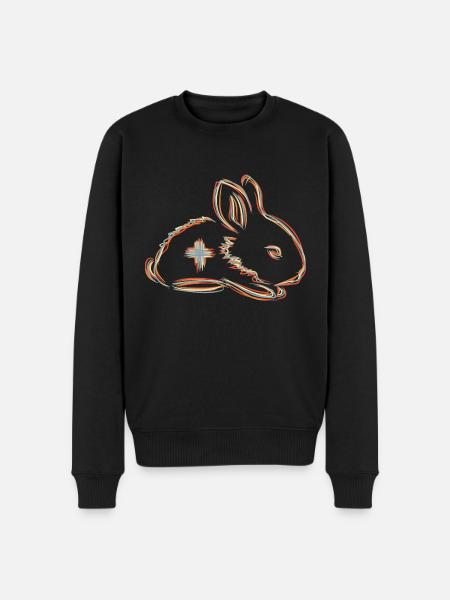 Veterinary Bunny - Men's Premium Organic Jumper - black