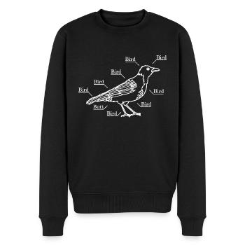 Ein Vogel wie ihn ein Physiker sieht - Männer Premium Bio Pullover - Schwarz - Vorne - Nico (187cm)