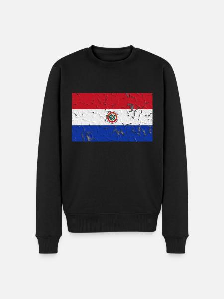 Paraguay Paraguay - Men's Premium Organic Jumper - black
