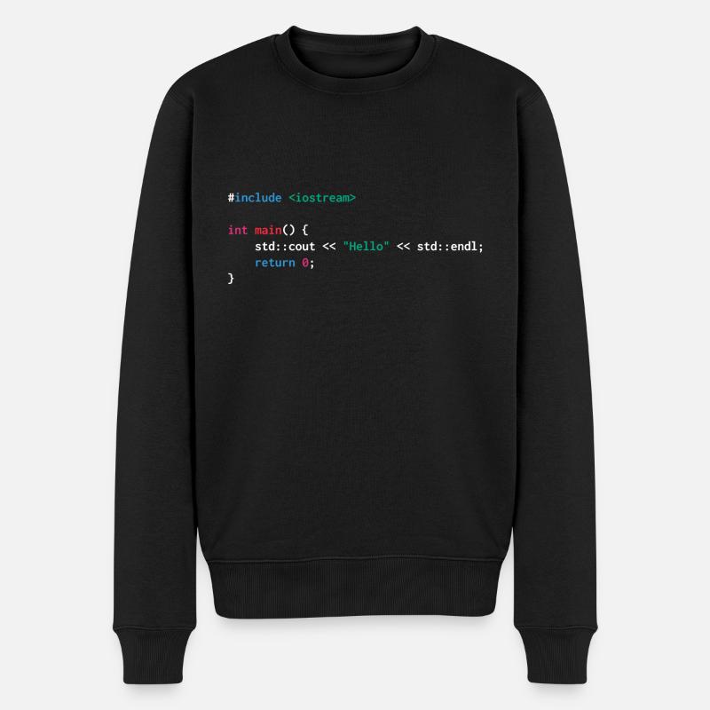 Développeur c web humour drôle - Pull Premium bio Homme - noir