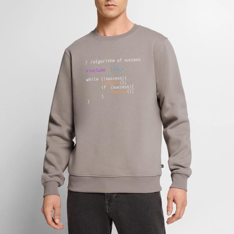 Programmcode Algorithmus des Erfolgs IT Entwickler Männer Premium Bio Pullover
