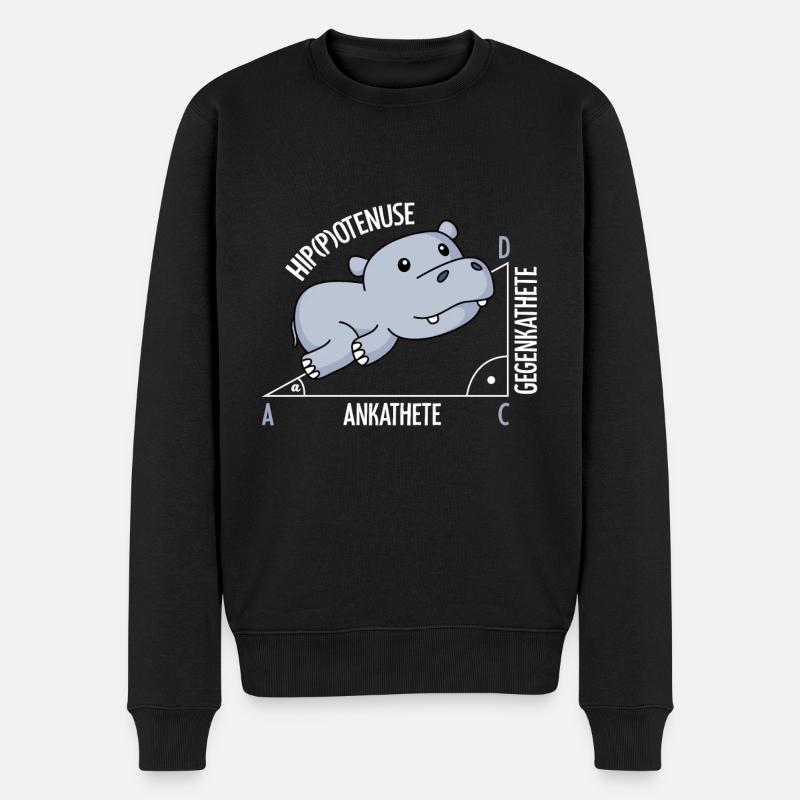 Mathématiques Hippotenuse mathématiques amusantes - Pull Premium bio Homme - noir