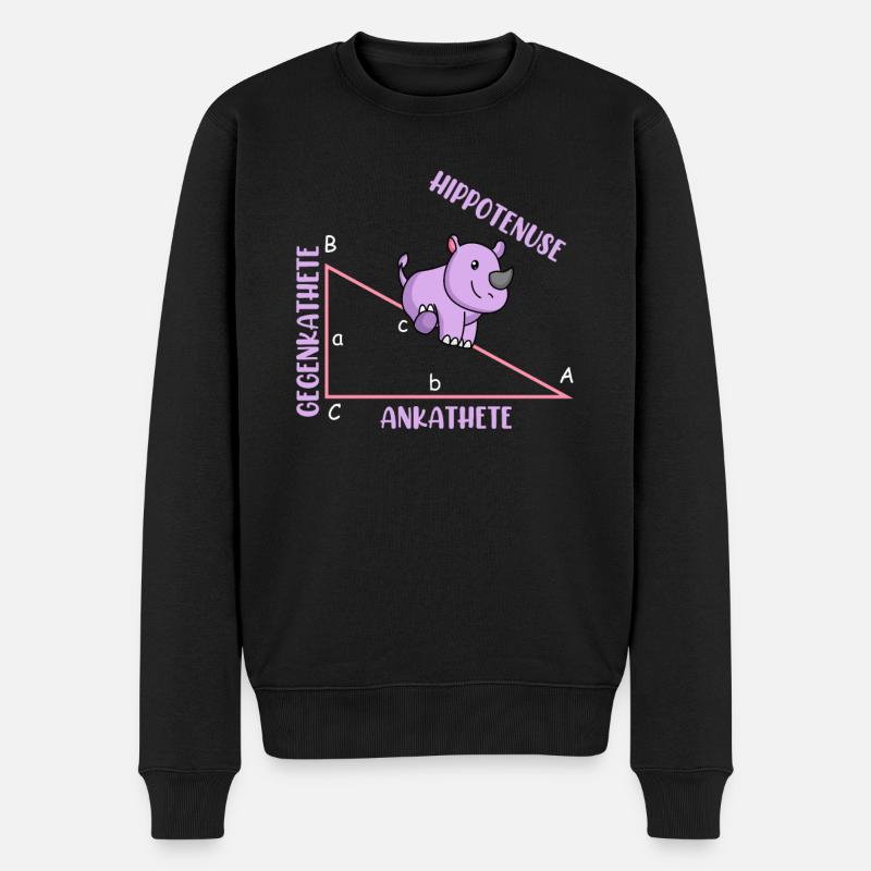 Mathematiker Mathelehrer Hippotenuse - Männer Premium Bio Pullover - Schwarz