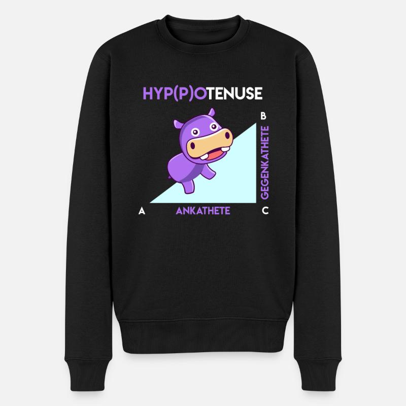 Hypoténuse Hippoténouse Math - Pull Premium bio Homme - noir
