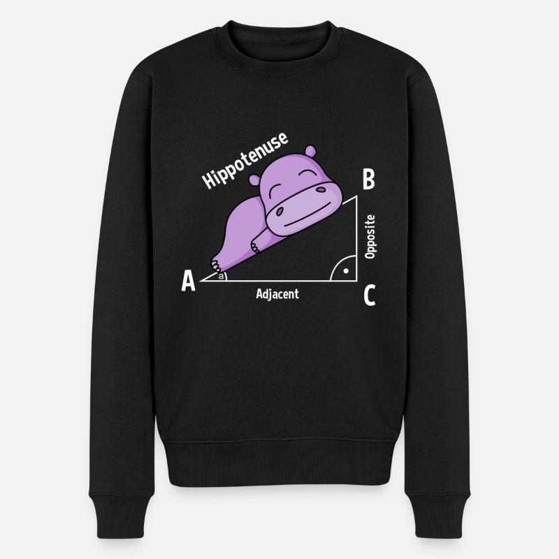 Professeur de mathématiques Hipotenuse Math - Pull Premium bio Homme - noir