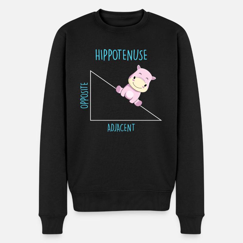 Hippotenuse Mathelehrer - Männer Premium Bio Pullover - Schwarz