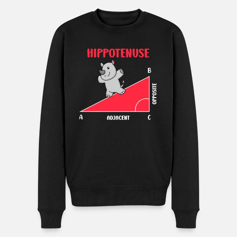 Hippotenuse Professeur de mathématiques Mathématicien - Pull Premium bio Homme - noir