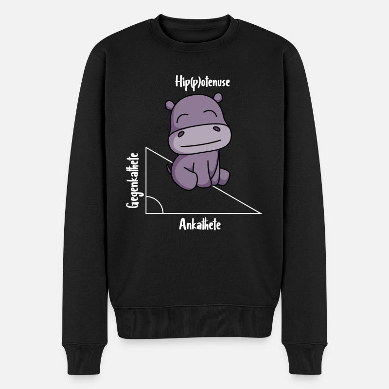 Hippotenuse Lustiges Mathe - Männer Premium Bio Pullover - Schwarz