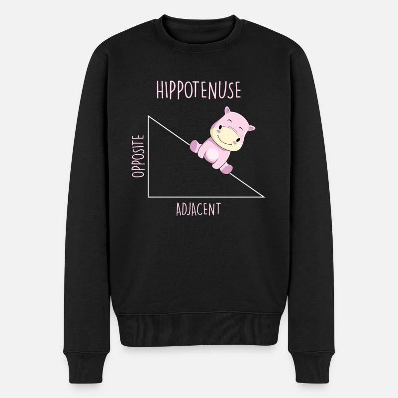 Hippotenuse Professeur de mathématiques - Pull Premium bio Homme - noir