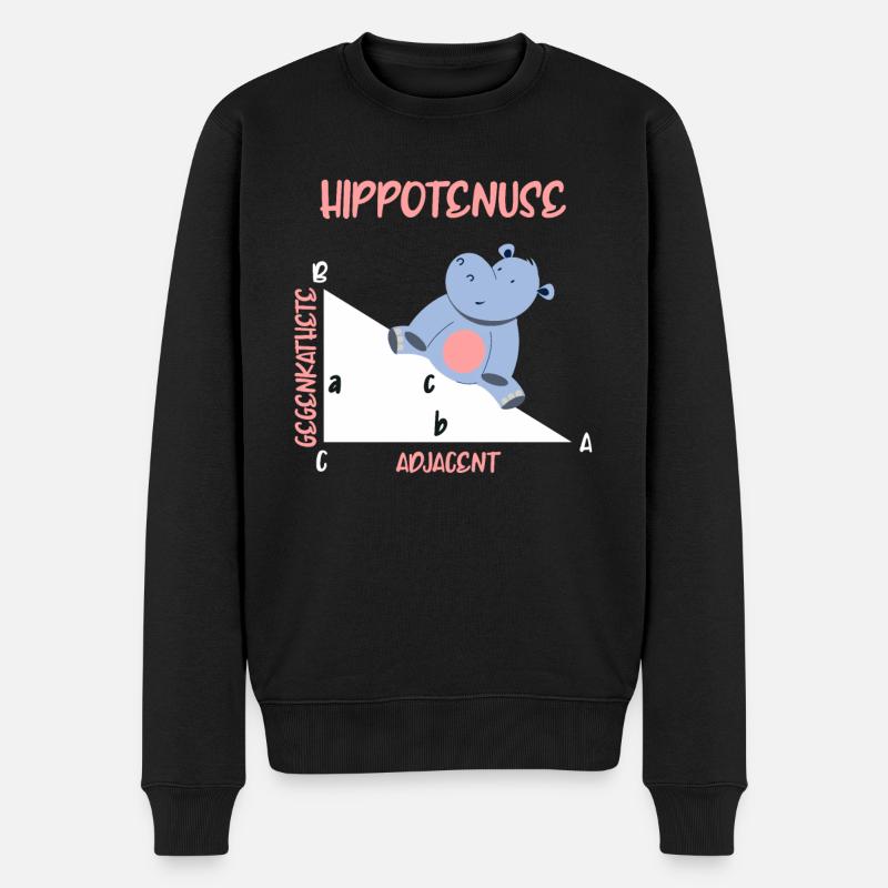 Mathématicien Hippotenuse Hippo Triangle - Pull Premium bio Homme - noir