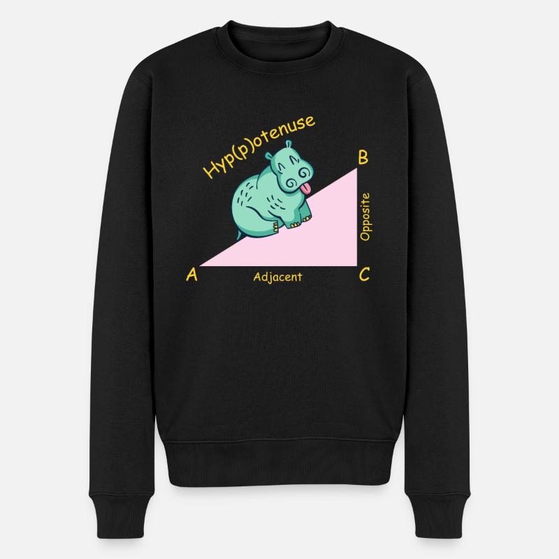 Mathelehrer Mathematiker Hippotenuse - Männer Premium Bio Pullover - Schwarz