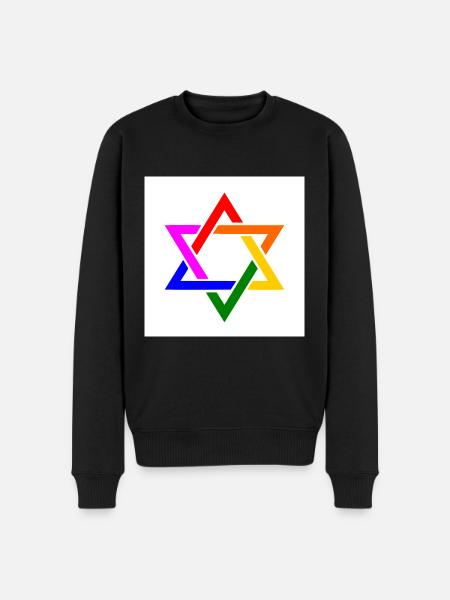 Israel lgbt flag - Men's Premium Organic Jumper - black