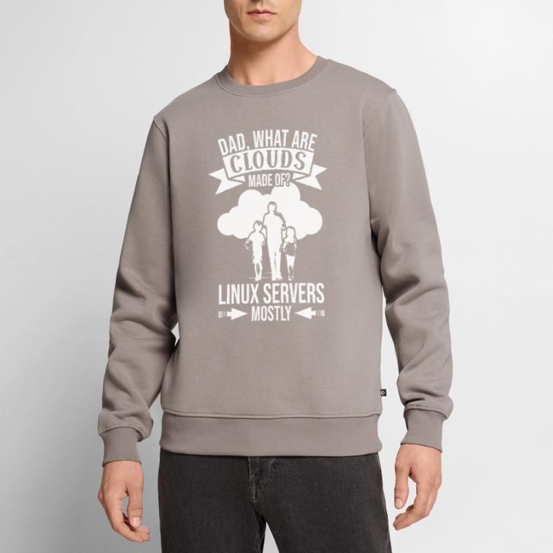 Cloud Computing Informatik Tech Männer Premium Bio Pullover