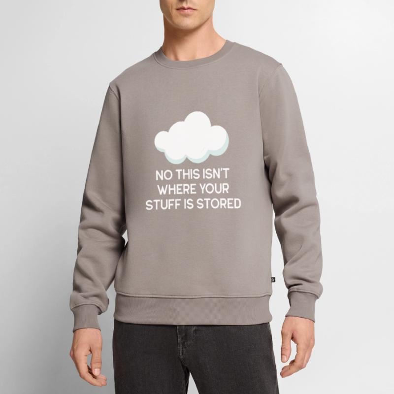 Cloud Computing Informatik Computer Programmierer Männer Premium Bio Pullover