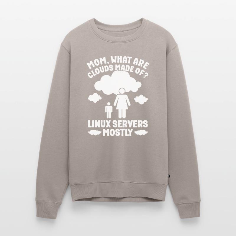 Cloud Computing Informatik Programmierung Dev Männer Premium Bio Pullover