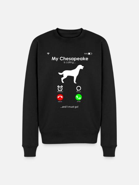 Chesapeake Bay Retriever - Männer Premium Bio Pullover - Schwarz