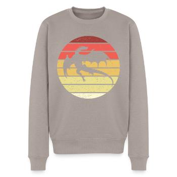 Drache Retro Style Vintage - Männer Premium Bio Pullover - Taupe - Vorne - Nico (187cm)