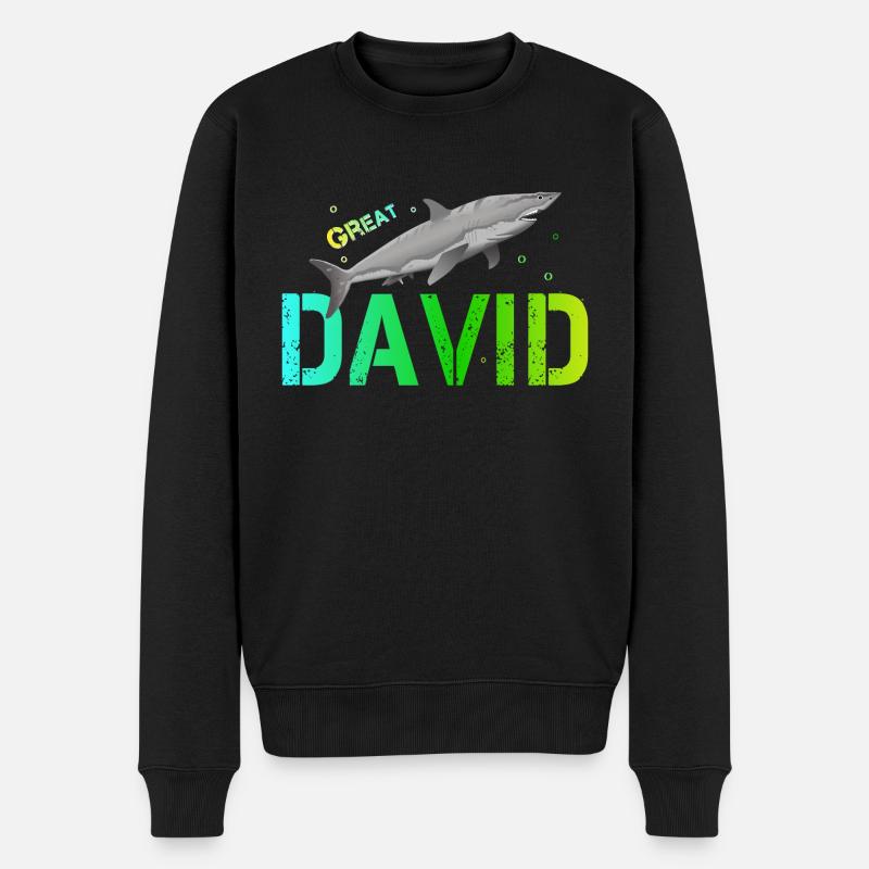 David - Männer Premium Bio Pullover - Schwarz