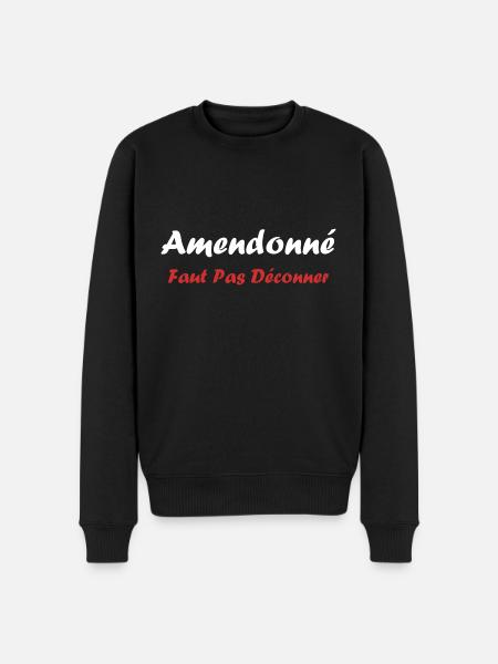amendonné faut pas déconner - Pull Premium bio Homme - noir