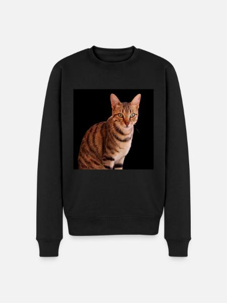 Chat chat chaton doux - Pull Premium bio Homme - noir
