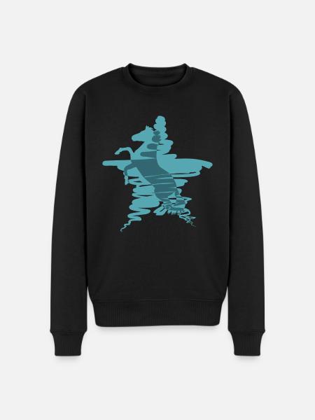 Cheval étoile 2 - Pull Premium bio Homme - noir
