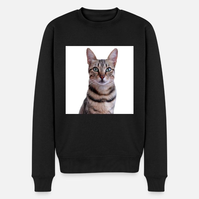 Chat chat chaton doux - Pull Premium bio Homme - noir