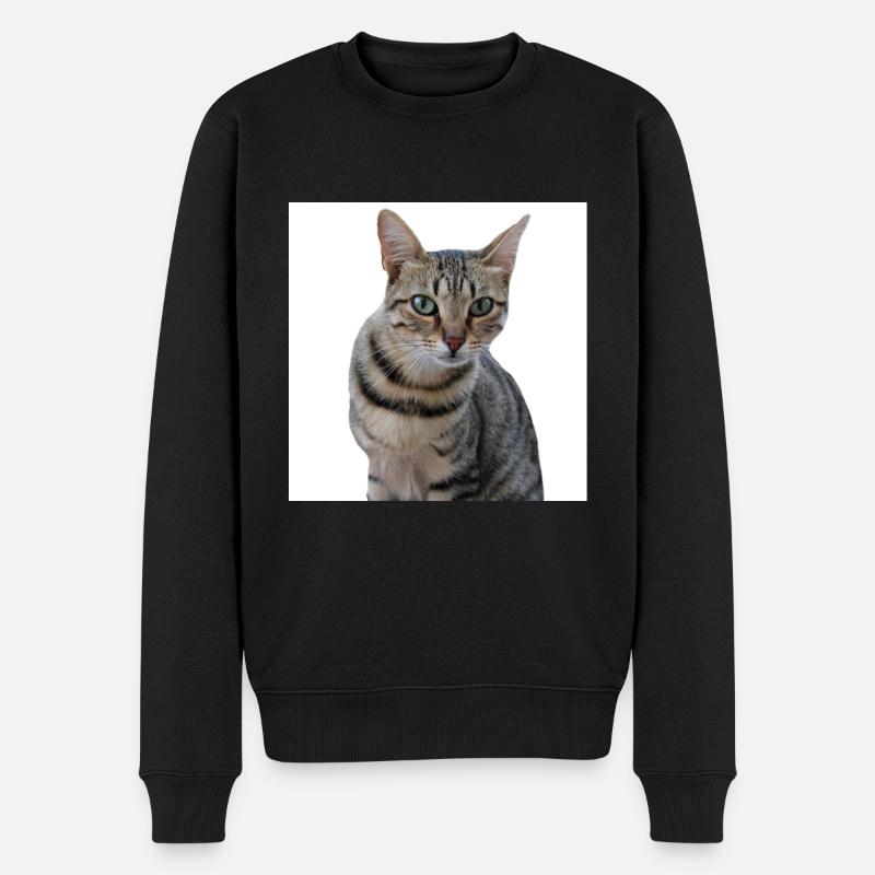 Chat chat chaton doux - Pull Premium bio Homme - noir