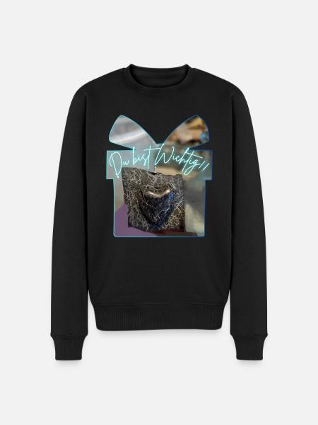 Du bist Wichtig - Männer Premium Bio Pullover - Schwarz