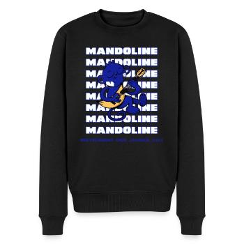 Mandoline Mandoline Instrument des Jahres - Männer Premium Bio Pullover - Schwarz - Vorne - Nico (187cm)