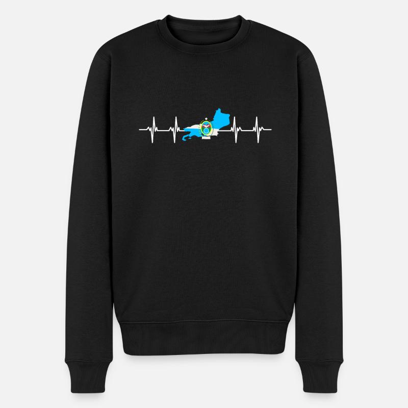 Drapeau de l’Argentine - Pull Premium bio Homme - noir