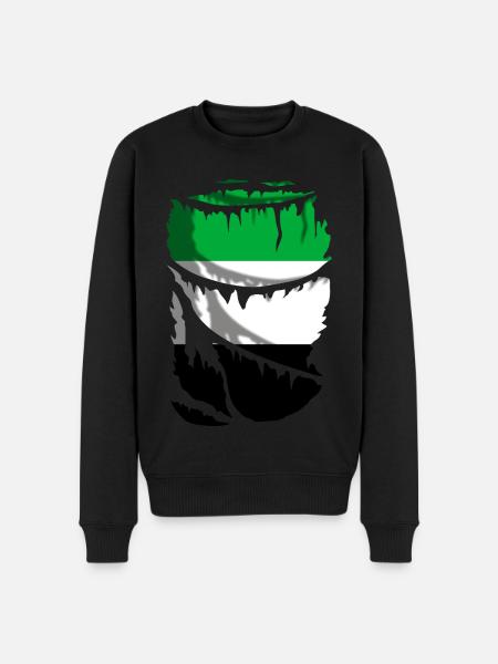 Flag of Extremadura, original gift - Men's Premium Organic Jumper - black