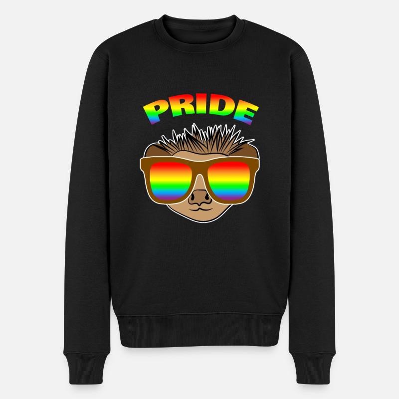Igel Regenbogen - Männer Premium Bio Pullover - Schwarz