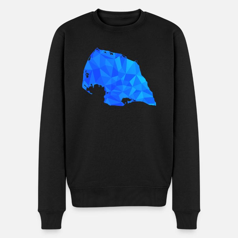 Polygone de Fehmarn - Pull Premium bio Homme - noir