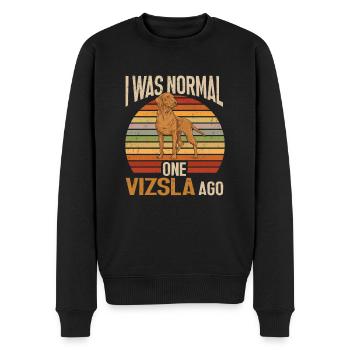 Vizsla Ich war normal vor einem Vizsla - Männer Premium Bio Pullover - Schwarz - Vorne - Nico (187cm)