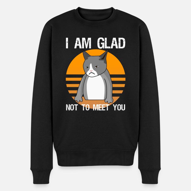 Sarcasme signifie chat disant ironie - Pull Premium bio Homme - noir