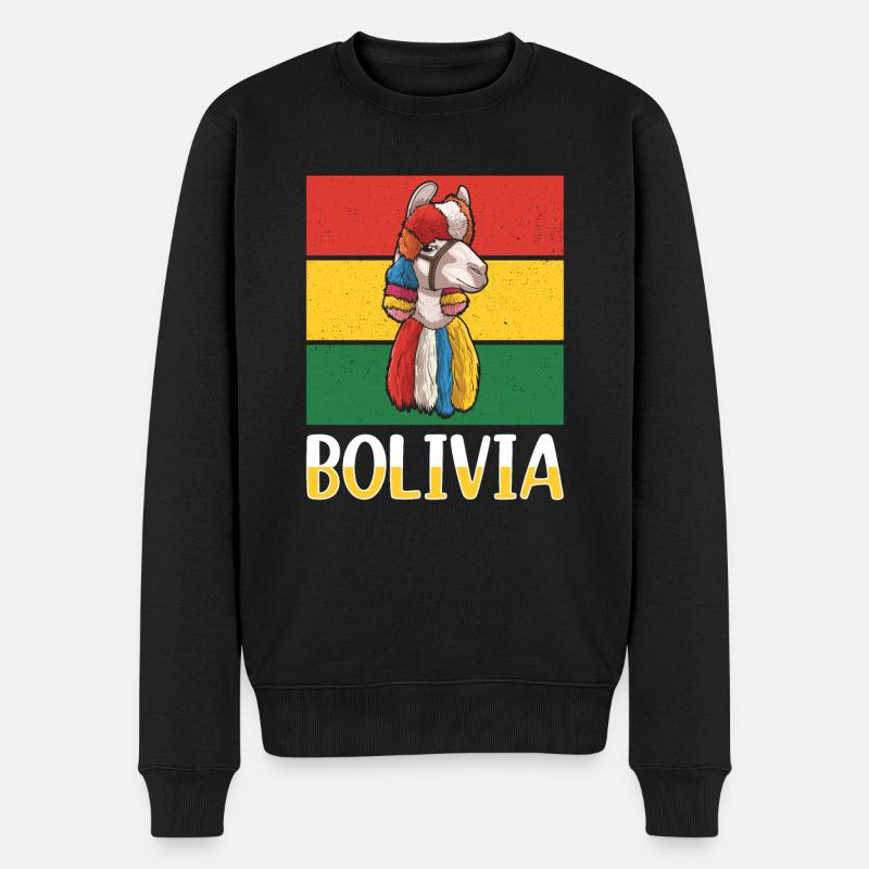 Drapeau bolivien, drapeau bolivien - Pull Premium bio Homme - noir