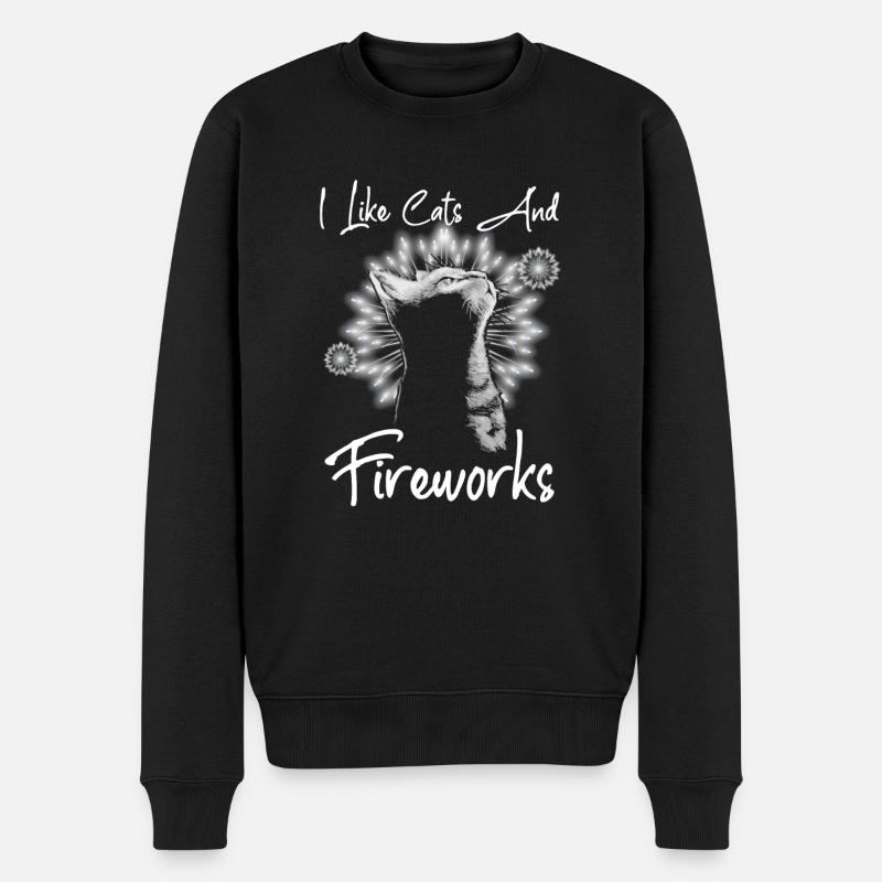 Chats et feux d’artifice - Pull Premium bio Homme - noir