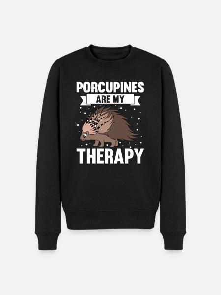 Cute Porcupine Funny - Men's Premium Organic Jumper - black
