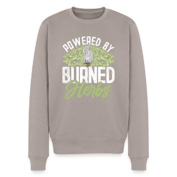 Fumigation plate alimentée par des herbes brûlées - Pull Premium bio Homme - taupe - Devant - Nico (187cm)