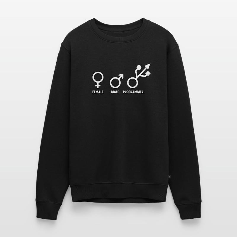 Entwickler Admin Coder Programmierer Informatiker Männer Premium Bio Pullover