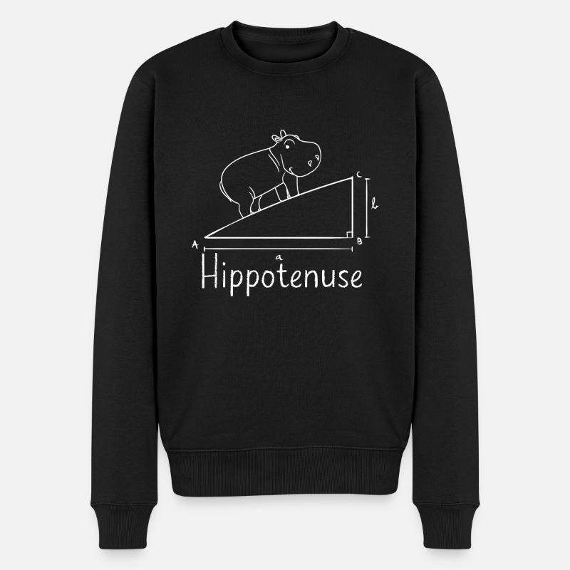 Lustiger Mathe Lehrer Spruch Mathematik - Männer Premium Bio Pullover - Schwarz