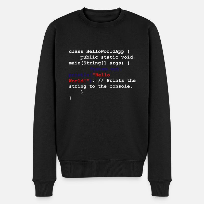 Programmierer Coder Software Entwickler - Männer Premium Bio Pullover - Schwarz