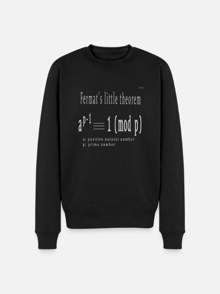 Fermat's little theorem - Men's Premium Organic Jumper - black