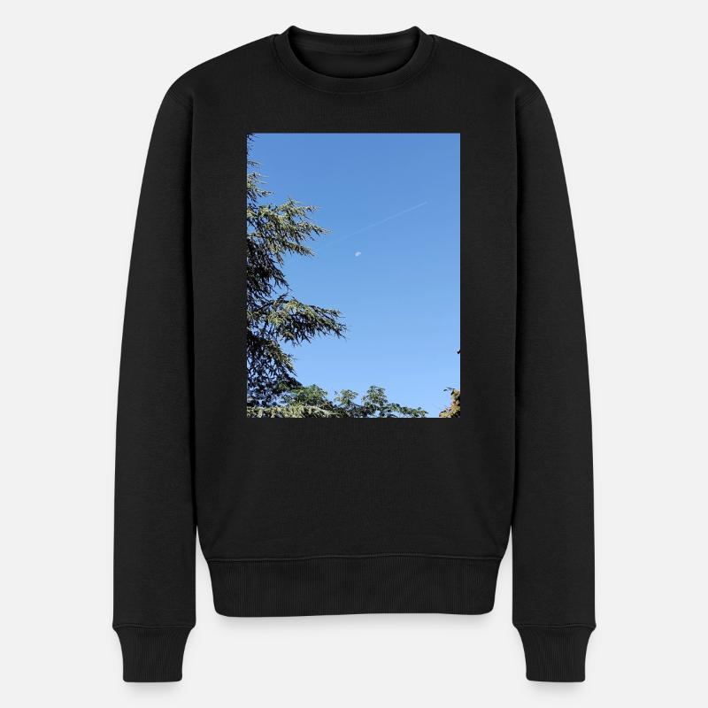 Lune matinale et avion - Pull Premium bio Homme - noir